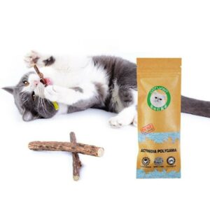 Bâton à mâcher d'herbe à chat