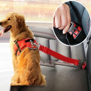 Laisse télescopique pour voiture