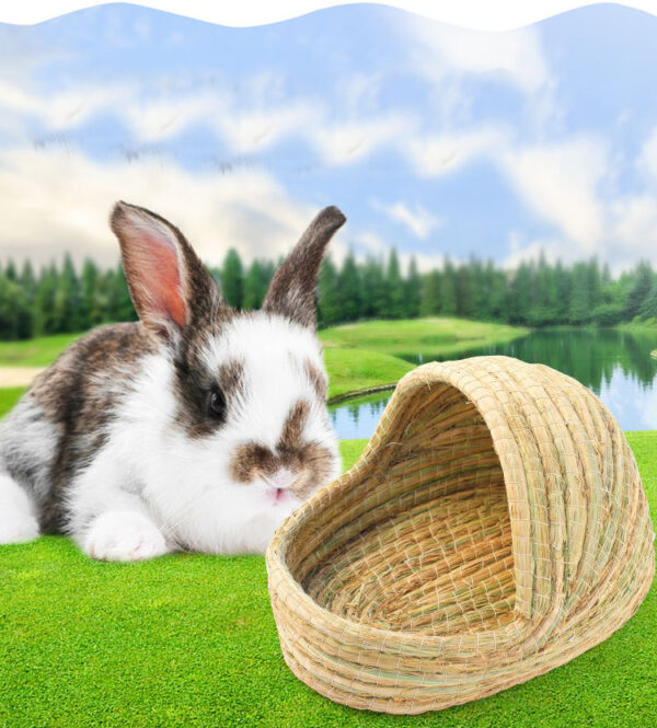 Nid d'herbe pour lapin