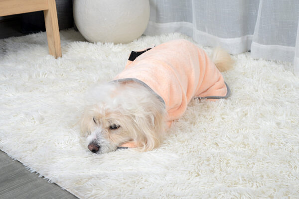 Peignoire pour petit chien – Image 2