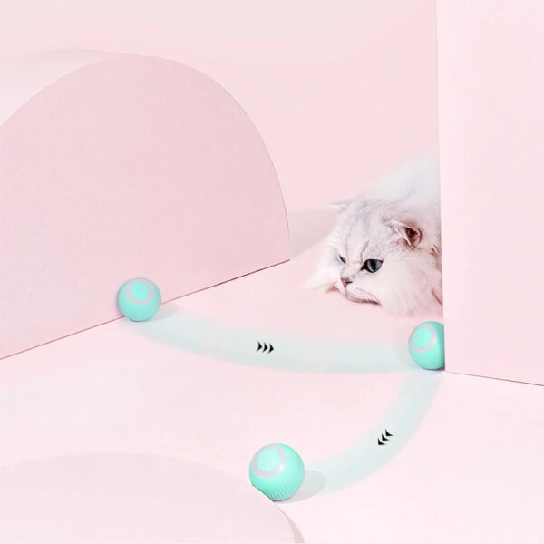 Jouet télécommandé Crazy-Joy – Image 10
