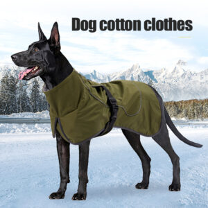 Manteau d'hiver