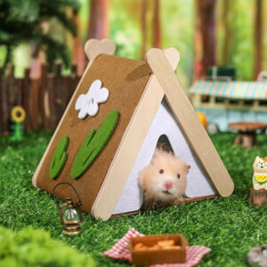 Tente en bois