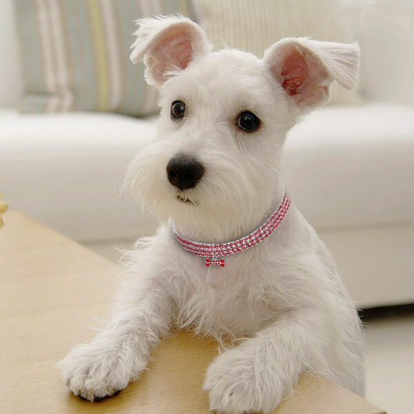 Collier en strass – Image 5