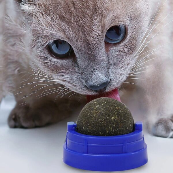 Boule d'herbe à chat à lécher – Image 3