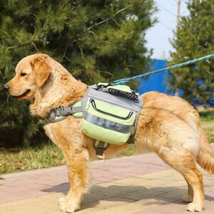 Sac à dos d'extérieur pour grands chiens